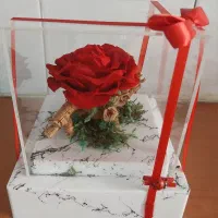 رز جاودان یک هدیه ماندنی برای ولنتاین