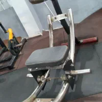 شکم ریلی