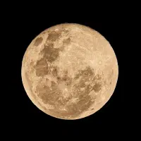 تدریس دروس راهنمایی و ابتدایی و زبان انگلیسی