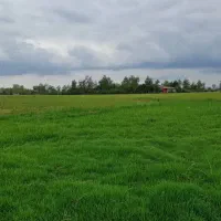 فروش بیجار در شفت|فروش زمین و ملک کلنگی|شفت, |دیوار