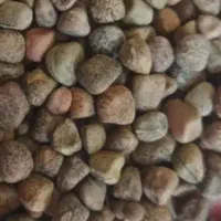 گرگروکیلوی ۱۱۰