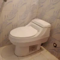 یک عدد توالت فرنگی|لوازم سرویس بهداشتی|بندرعباس, |دیوار