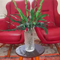 گل و گلدان|گل مصنوعی|تهران, نیلوفر|دیوار