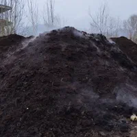 خاک باغچه و گل و گیاه و مناسب برای درخت کاری وباکس|خدمات باغبانی و درختکاری|فومن, |دیوار