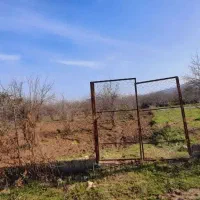 زمین-کشاورزی