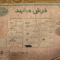 فرش مشهد ۶ متری|فرش|مشهد, هنرستان|دیوار