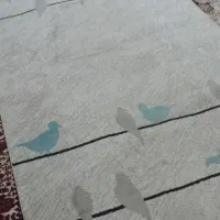 دو تکه موکت ۱۲و ۹متری و گلیم فرش ۴متری|فرش|قم, شهرک فاطمیه|دیوار