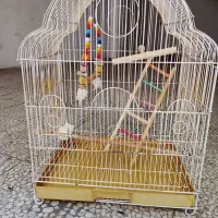 قفسه 50%65 سالم همراه با نردبان و تاب