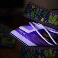 محصولات خانه داری|ظروف نگهدارنده، پلاستیکی، یکبارمصرف|مریوان, |دیوار