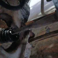 فروش خودرو|خودرو سواری و وانت|جغتای, |دیوار