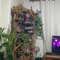 رهن کامل یک واحد اپارتمان در کوچه مهتاب|اجارهٔ آپارتمان|قائم‌شهر, |دیوار