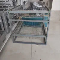 سبدسیب زمینی پیاز