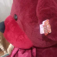 خرس زرشکی دو متری|اسباب‌‌بازی|شاهین دژ, |دیوار