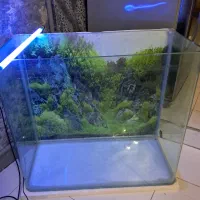 فروش اکواریوم