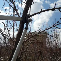 هرس درختان میوه و کود دهی و باغبانی و قلمه و پیوند