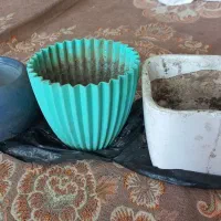 گلدان سفالی.پلاستیکی.پایه گل. ارزان