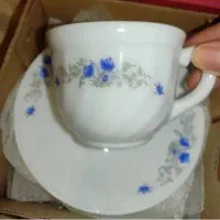 فنجان و نعلبکی آرکوپال فرانسه|ظروف سرو و پذیرایی|مشهد, آبکوه|دیوار