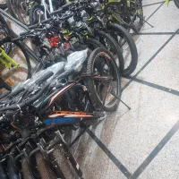 المپیا تنه شتری|دوچرخه، اسکیت، اسکوتر|یزد, |دیوار