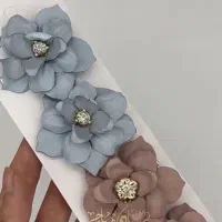 گیره سر های دخملونه