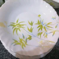 ظروف پارس اوپال