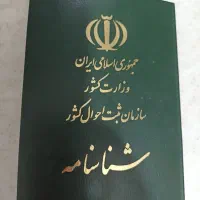 شناسنامه گمشده