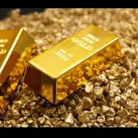 کسب درآمد کد معرف رو بزن ۲۰۰ تومن هم خودت هم رفیقت