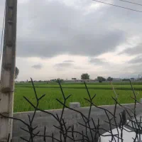 ویلا دربست محدوده جنگل الیمالات ۲ خواب ۲۵۰ متری|اجارهٔ کوتاه‌مدت ویلا و باغ|چمستان, |دیوار