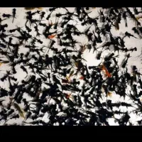 ماهی شب عید توراه