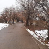 زمین-باغ-ویلایی