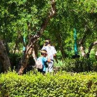 تسهیل‌گر کودک و طبیعت