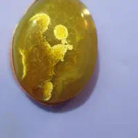 مهره سلطانی مصور