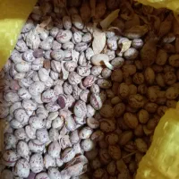 لوبیا چیتی|خوردنی و آشامیدنی|تهران, امام حسین|دیوار