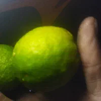 خریدوفروش نارنج بهرمقدار ریزودرشت