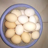تخم مرغ خونگی