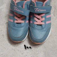 کفش|کیف، کفش، کمربند|تربت جام, جامی|دیوار