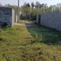 زمین مسکونی|فروش زمین و ملک کلنگی|لاهیجان, خالو باغ|دیوار