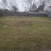 زدن علف و کوتاه کردن چمن