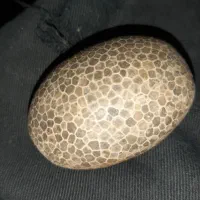 سنگ های قیمتی و نیمه قیمتی|جواهرات|ساری, |دیوار