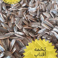 تخمه آفتابگردان خارجی|خوردنی و آشامیدنی|کرج, برغان|دیوار