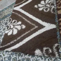 دو عدد قالیچه|گلیم، جاجیم، گبه|قرچک, زیبا شهر|دیوار