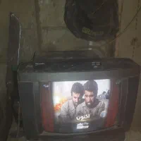 تلوزیون