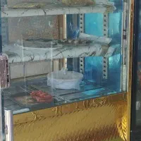 وسایل کبابی|کافیشاپ و رستوران|زابل, |دیوار