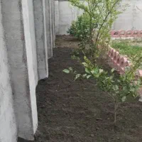 فروش ویلای رویایی ۶۵۰ متری در دل جنگل|فروش خانه و ویلا|احمدسرگوراب, |دیوار