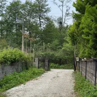 باغ ویلادوبلکس کلاسیک با۶۰مترکوچه اختصاصی|فروش خانه و ویلا|رویان, |دیوار