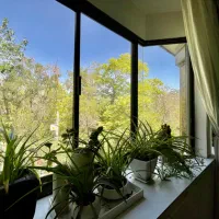 فرصت ویژه تهاترملک درهاشمیه بهترین لوکیشن|فروش زمین و ملک کلنگی|مشهد, هنرستان|دیوار