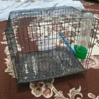 قفس کوچک سره