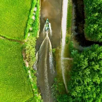 ویلا محوطه سازی شده/جنگلی