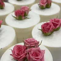 باکس کاپ کیک|ظروف سرو و پذیرایی|اهواز, کمپلو شمالی|دیوار