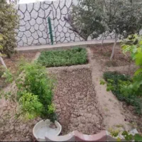 چهار-دیواری