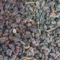 فروش کشمش آفتابی